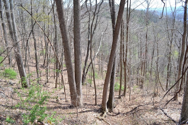 Listing photo 2 for LOT9 Town Mountain Rd, Asheville NC 28804