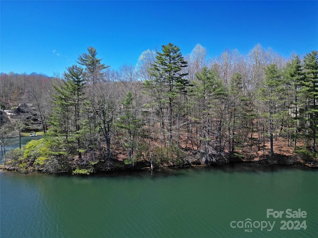 U22L019 Cheulah Rd Unit 19/22, Brevard NC, 28712 land for sale