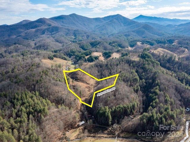 Listing photo 2 for 000 Barnyard Ln, Green Mountain NC 28740