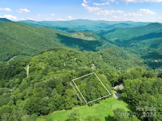 Listing photo 3 for 936 Upper Lookout Dr Unit 936, Mars Hill NC 28754