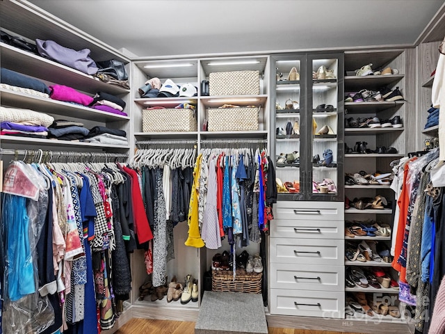 spacious closet featuring hardwood / wood-style flooring