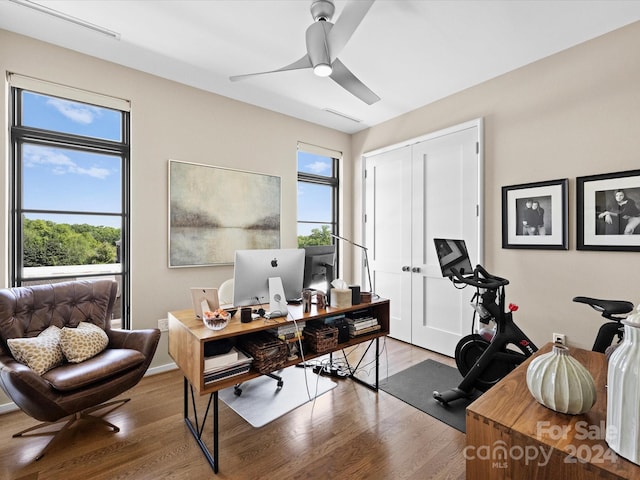 office area featuring ceiling fan and hardwood / wood-style flooring