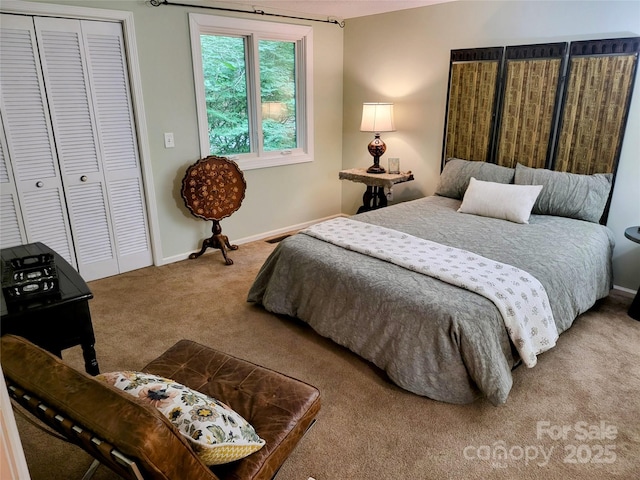 bedroom with a closet and carpet