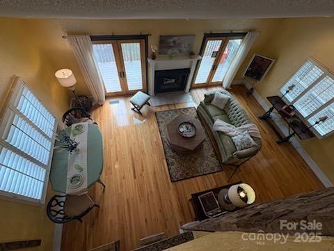 living room with french doors, a healthy amount of sunlight, and wood-type flooring