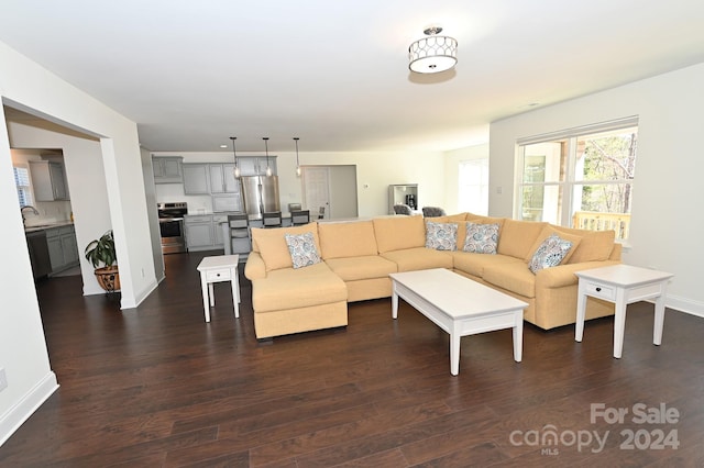 living room with dark hardwood / wood-style flooring