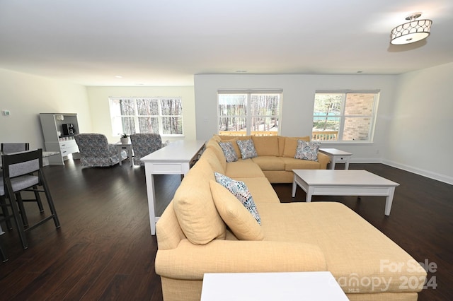 living room featuring dark wood-type flooring