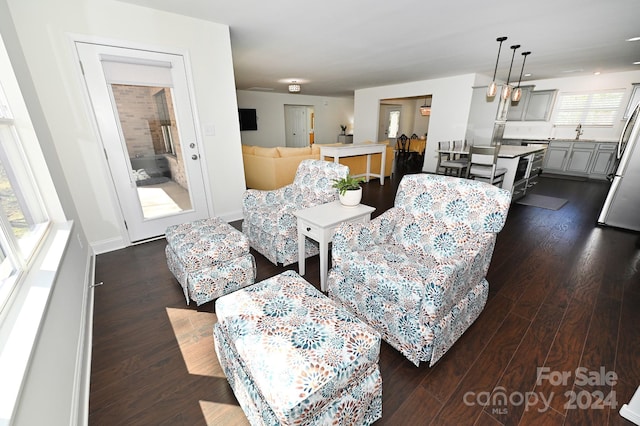 living room with sink and dark wood-type flooring