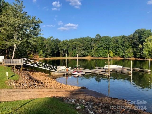 dock area with a water view