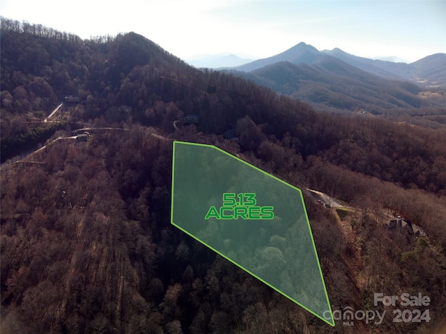 215 View Ridge Parkway 71 & 72, Leicester NC, 28748 land for sale