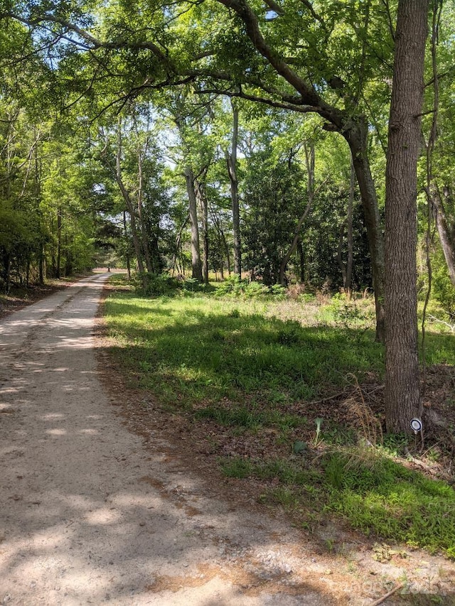 12540 Gibson Rd, Laurinburg, NC 28352 - photo 2