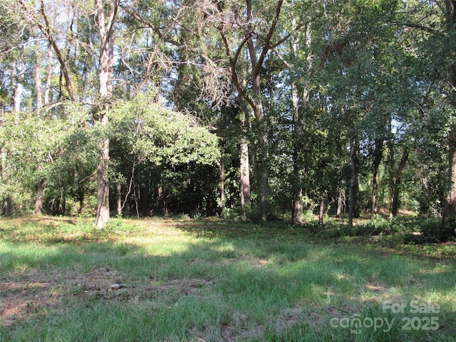 12540 Gibson Rd, Laurinburg, NC 28352 - photo 3