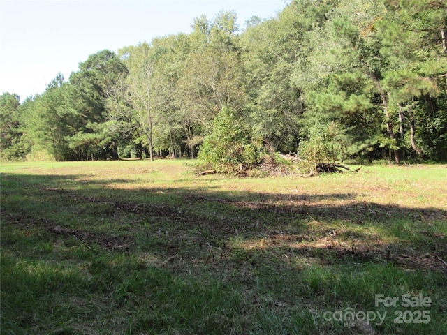 12540 Gibson Rd, Laurinburg, NC 28352 - photo 4