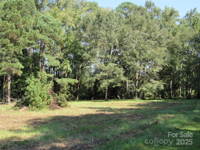 12540 Gibson Rd, Laurinburg, NC 28352 - photo 7