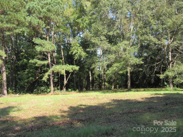 12540 Gibson Rd, Laurinburg, NC 28352 - photo 8