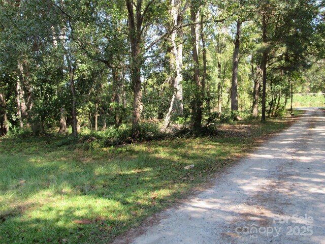 12540 Gibson Rd, Laurinburg, NC 28352 - photo 9