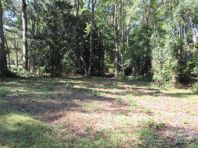 12540 Gibson Rd, Laurinburg, NC 28352 - photo 10