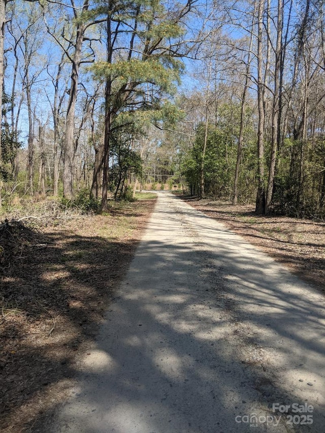 12540 Gibson Rd, Laurinburg, NC 28352 - photo 11