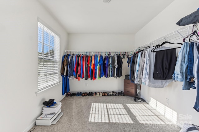 walk in closet featuring carpet