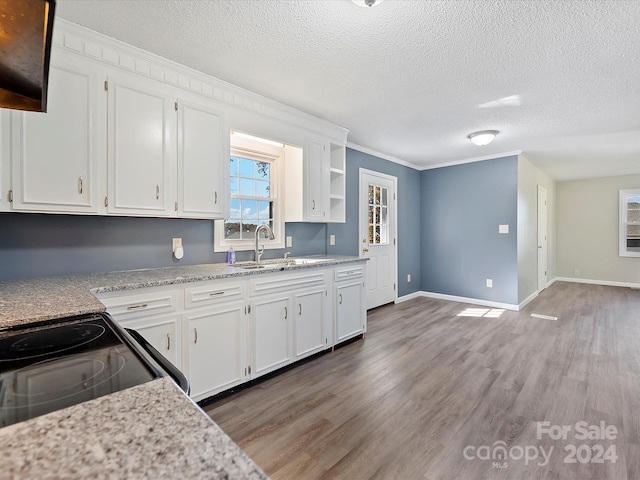 kitchen featuring white cabinetry, ornamental molding, sink, and dark hardwood / wood-style floors