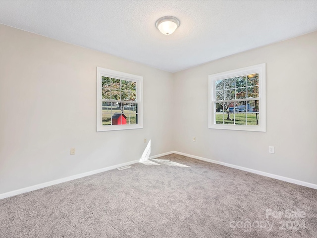 spare room featuring carpet floors and a textured ceiling