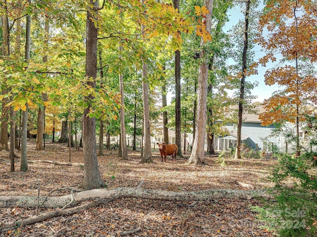 111 Bobby Lee Ln Unit 18, Mooresville, NC 28115 - view of yard