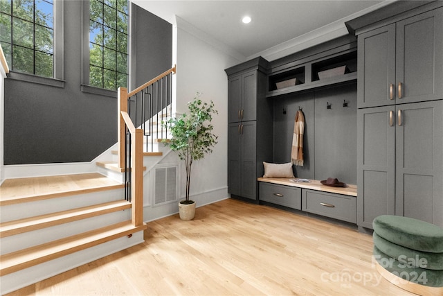 mudroom featuring crown molding and light wood-type flooring