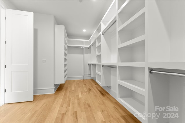 walk in closet with light wood-type flooring