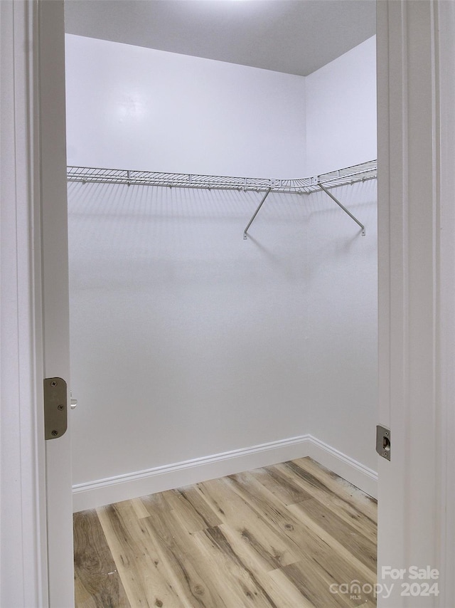 spacious closet featuring wood-type flooring