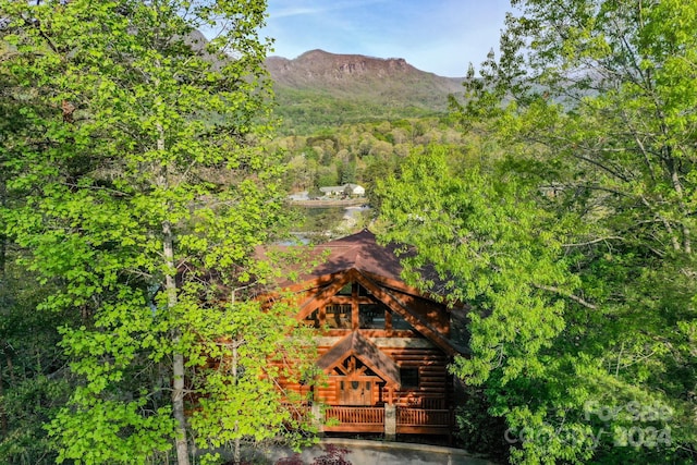 view of mountain view