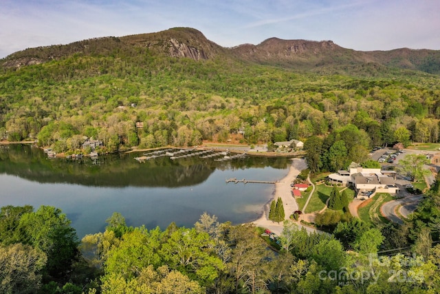 bird's eye view featuring a water and mountain view