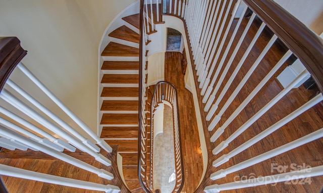 staircase with hardwood / wood-style floors