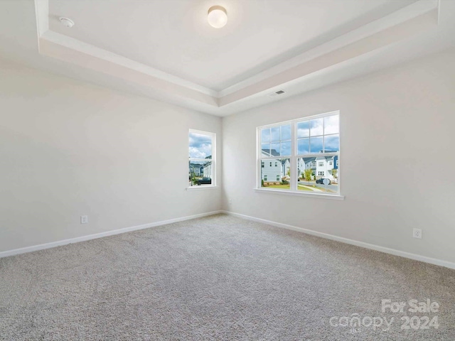 empty room featuring carpet and a raised ceiling