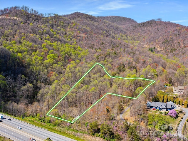 00 Lovebird Lane Lot 5 & 16, Candler NC, 28716 land for sale