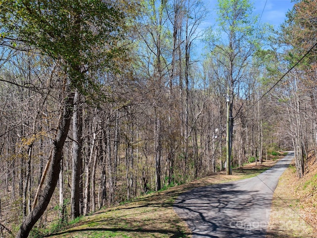 Listing photo 3 for 00 Lovebird Lane Lot 5 & 16, Candler NC 28716