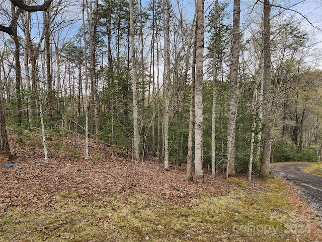 Listing photo 3 for 00 Union Hill Rd, Whittier NC 28789