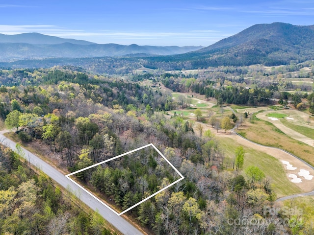 Listing photo 2 for 0 Deep Gap Farm Rd E, Mill Spring NC 28756