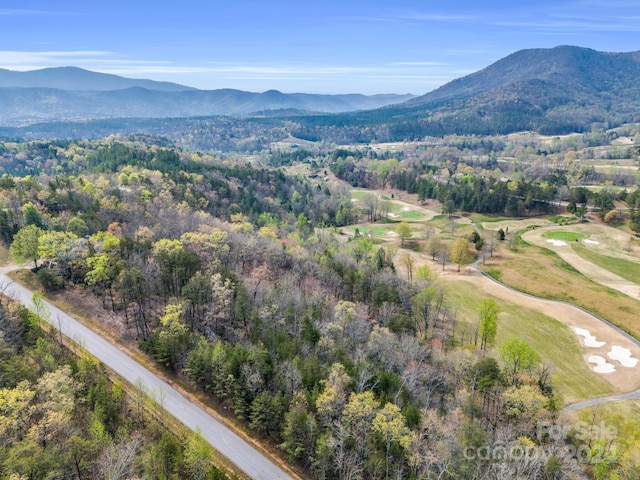 Listing photo 3 for 0 Deep Gap Farm Rd E, Mill Spring NC 28756