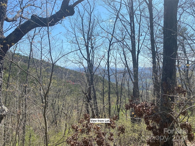 LOT16 Patriot Rdg, Murphy NC, 28906 land for sale