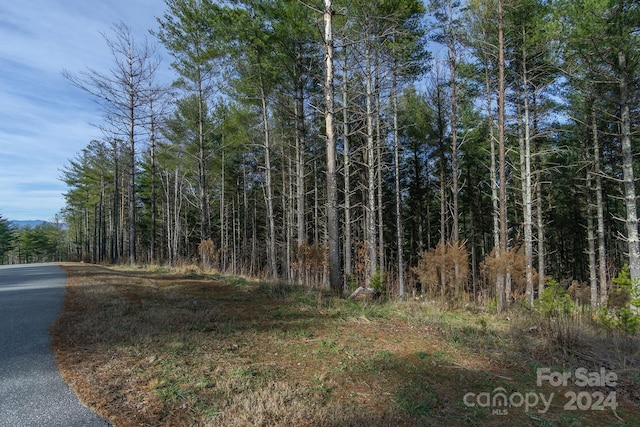 268 Crest View Dr Unit 94, Nebo NC, 28761 land for sale