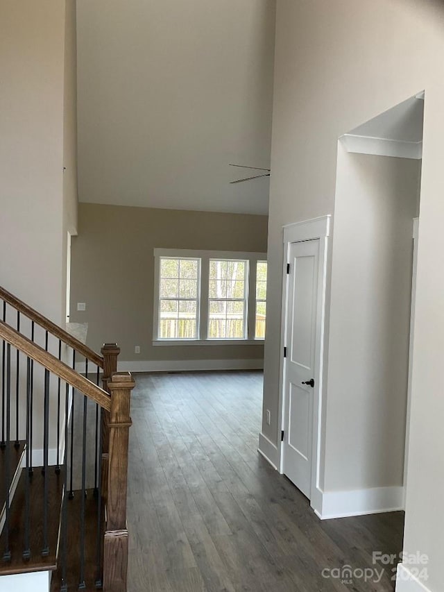 interior space with dark wood-type flooring and a high ceiling