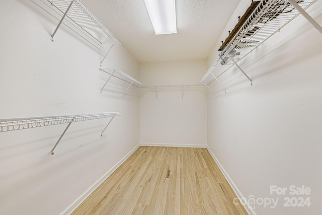 spacious closet with hardwood / wood-style flooring