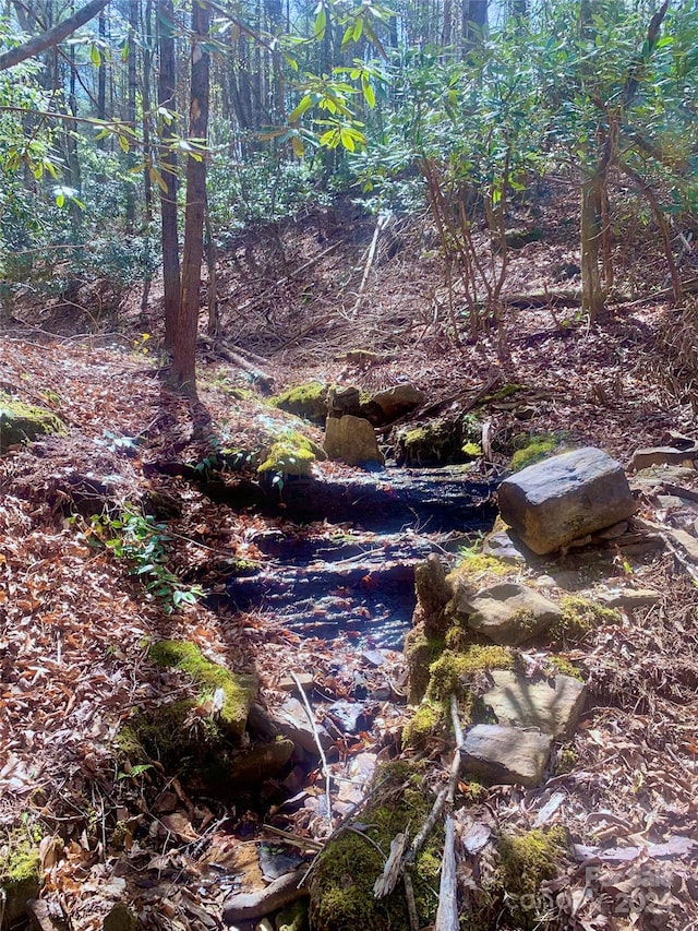 Listing photo 3 for LOT376 Table View Ln Lot 376, Lenoir NC 28645