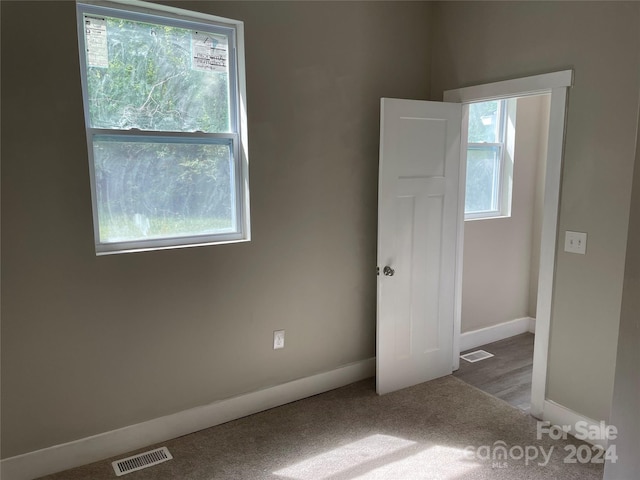 carpeted spare room with plenty of natural light