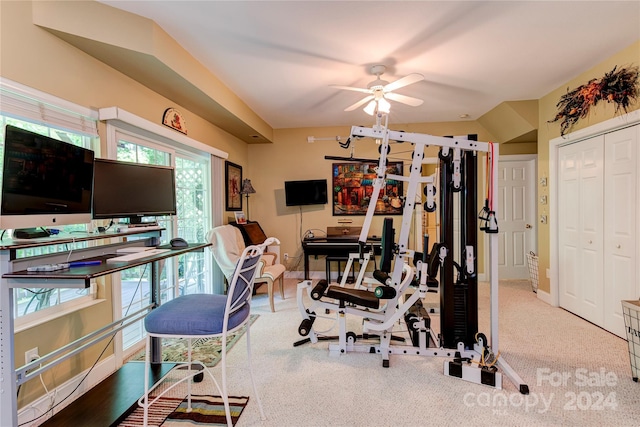 exercise room with ceiling fan and carpet floors