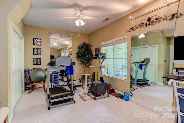117 Hibiscus Ln, Asheville, NC 28803 - photo 23