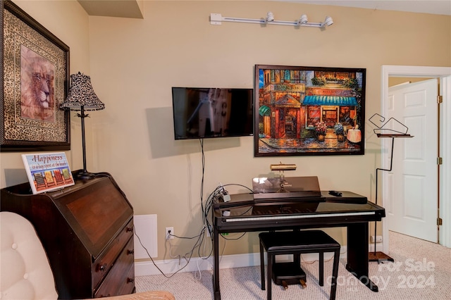 miscellaneous room featuring light colored carpet