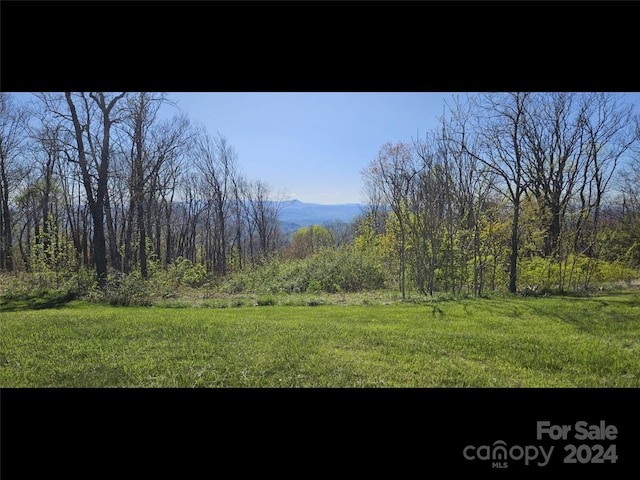 487 Grand Highlands Dr, Hendersonville NC, 28792 land for sale