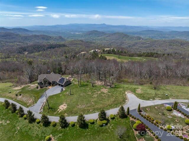487 Grand Highlands Dr, Hendersonville, NC 28792 - photo 4