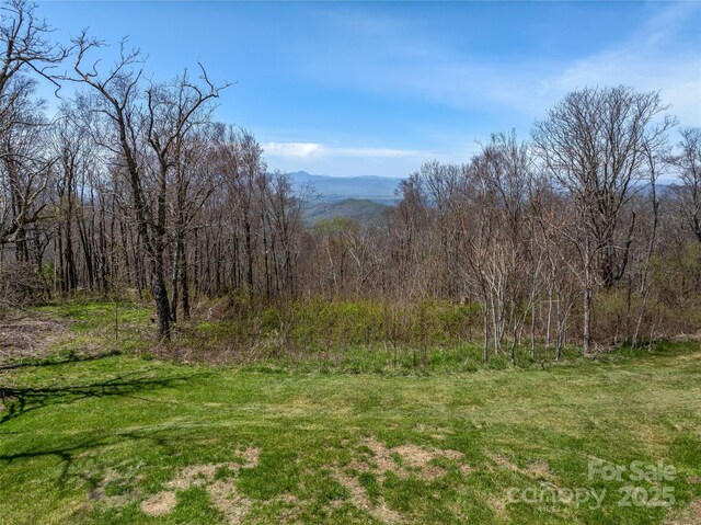 487 Grand Highlands Dr, Hendersonville, NC 28792 - photo 5