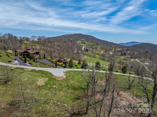 487 Grand Highlands Dr, Hendersonville, NC 28792 - photo 6
